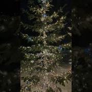 Глупые Снежинки Тают На Гирляндах