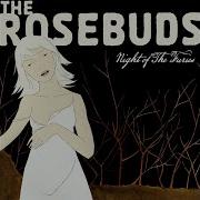 The Rosebuds When The Lights Went Dim