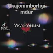 Укага Туйиги Табрик