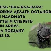Метательница Ядра Уральские Пельмени