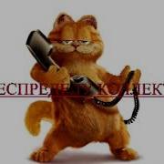 Сборная Солянка 61