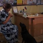 Неигрушки The Best Лучшее 2020