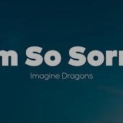 Imagine Dragons I M So Sorry Lyrics