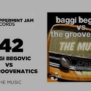 The Music Baggi Begovic Groovenatics