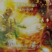 Чёрный Дрозд Мельница