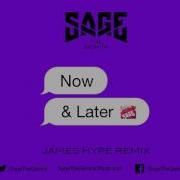 Sage The Gemini Now And Later James Hype Remix