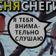 Пение Снегиря
