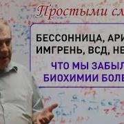 Алименко Анатолий Николаевич