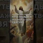 Благодарность Стих