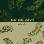 Never Seen Before Radio Edit Djerem