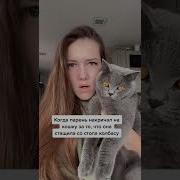 А Ну Ка Рот Сейчас Как Нибудь Закрыл