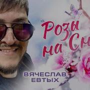 Розы На Снегу Вячеслав Евтых