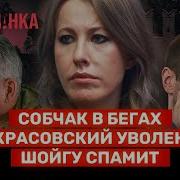 Будут Массово Сходить Быков