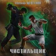 Щепеинов Чистильщик