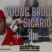 Sicario Young Brooklyn