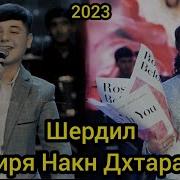 Шердил 2023