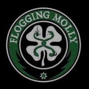 Devil S Dance Floor Flogging Molly