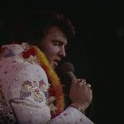 Elvis Presley Fever