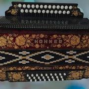 Паша Гармонист Новая Гармонь Hohner Хонер