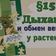 Параграф 16 Дыхание Биология 6 Класс