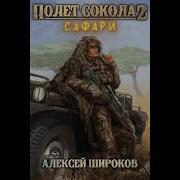Алексей Широков Полет Сокола 2