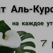 Оятал Курси