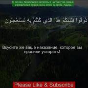 Чтения Корана С Переводом