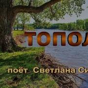 Светлана Сенчук Тополь Низко Ветки Клонит