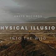 Physical Illusion In To The Wild