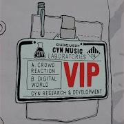 Dimension Digital World Vip