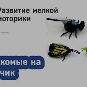 Светлана Михайловна Жук