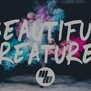 Illenium Beautiful Creatures Feat Max