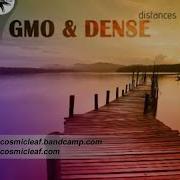 Gmo Dense