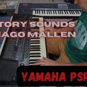 Yamaha Psr 510