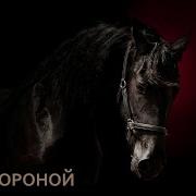 Кучин Конь Вороной