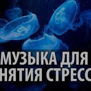 Анастасия Ян Лечебная Музыка