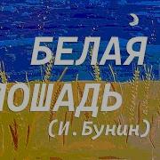 Иван Бунин Белая Лошадь