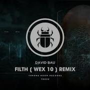 David Bau Filth Wex 10 Remix