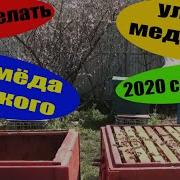 Расширение Гнезда Пчел Весной 2020 Постановка Второго Корпуса