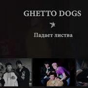 Падает Листва Осенняя Пора