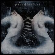 All You Leave Behind Paradise Lost