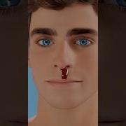 My Nose Is Piercid Dead Body