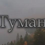 Сергей Одинцов Туман
