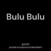 Bulu