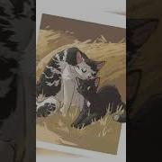 Коты Воители Горелый И Ячмень Map На Русском
