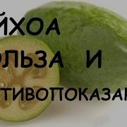 Фейхоа