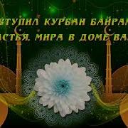 Скачать Видео Курбан Байрам