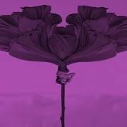 Marrakesh Original Mix Bourne