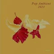 Pop Ambient