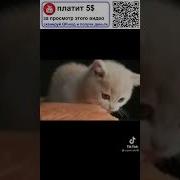 Ой Кто То Бежит Из Темноты